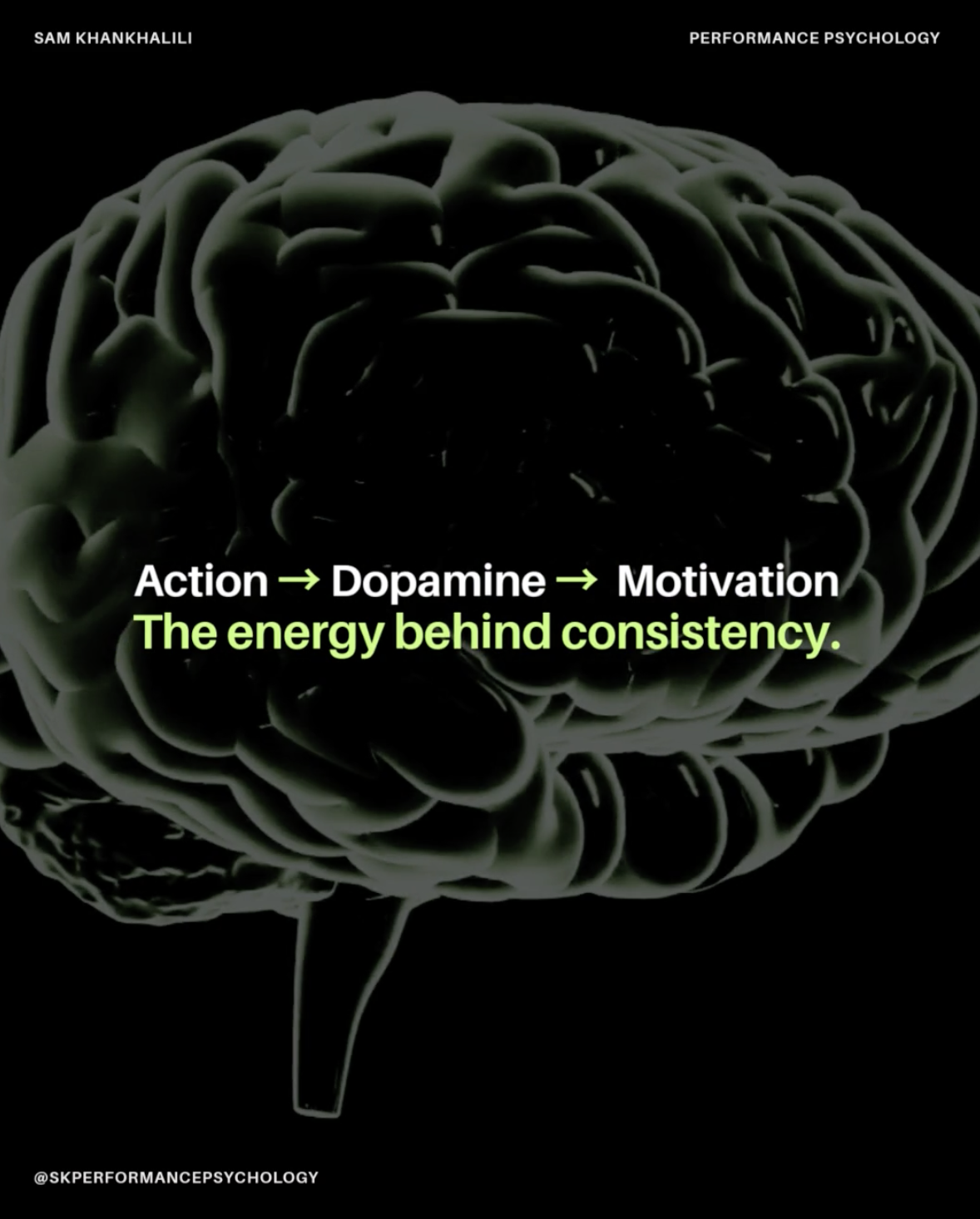 Motivation: The Force Behind Performance